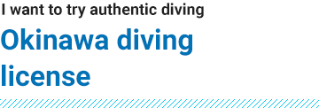 Okinawa diving license
