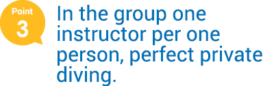 In the group one instructor per one person, perfect pricate diving.