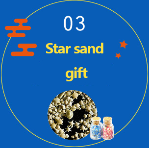 03 Stars of sand present